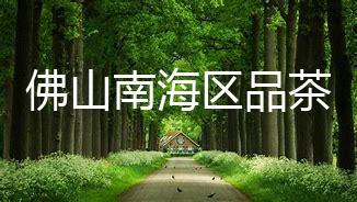 佛山南海区品茶